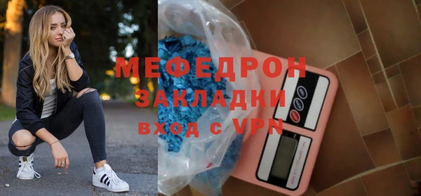 индика Инта