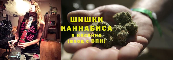 индика Инта