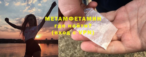 индика Инта
