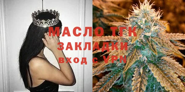 индика Инта