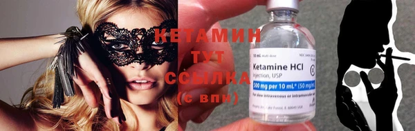 индика Инта