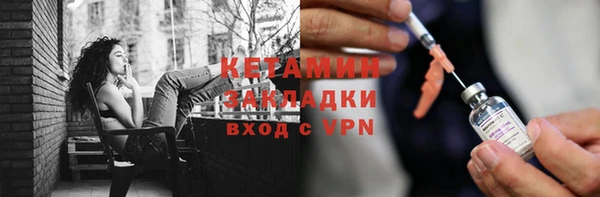 индика Инта