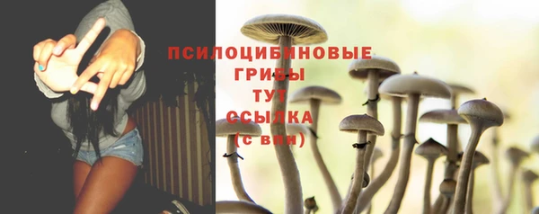 индика Инта