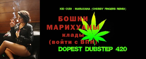 индика Инта