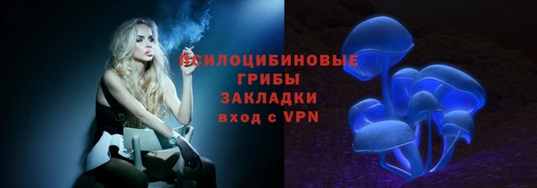 спиды Инсар