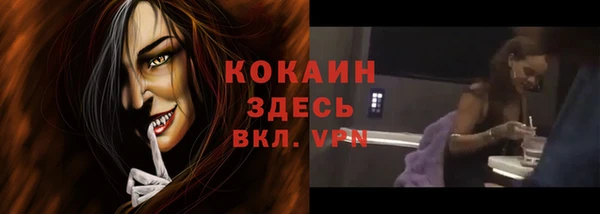 PSILOCYBIN Иннополис
