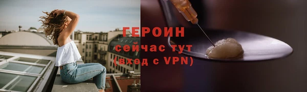 индика Инта