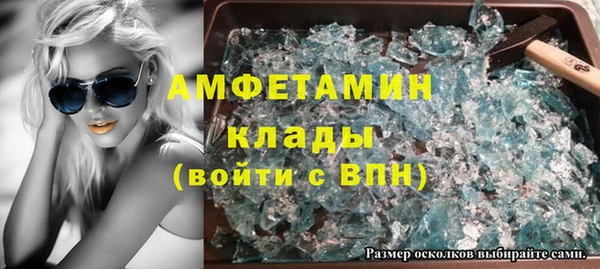 индика Инта