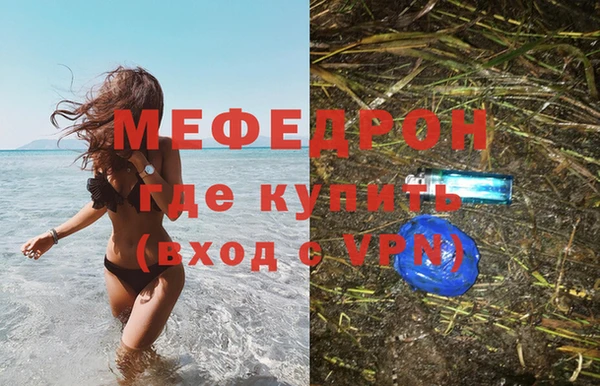 индика Инта