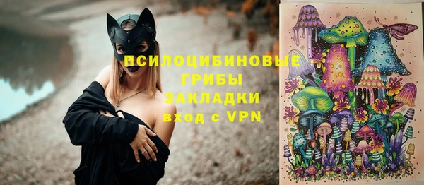спиды Инсар