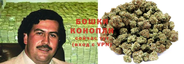 индика Инта