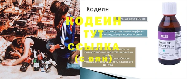 индика Инта