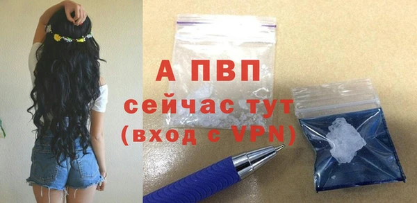 индика Инта