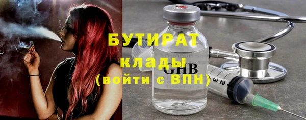 индика Инта