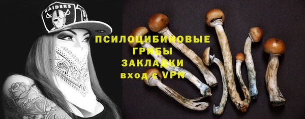 индика Инта
