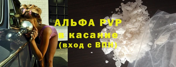 индика Инта