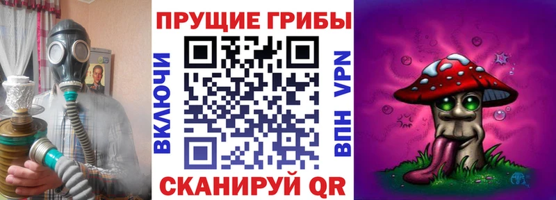 Купить где Зуевка Галлюциногенные грибы ЛСД